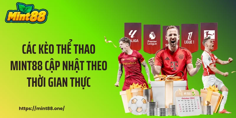 thể thao MINT88