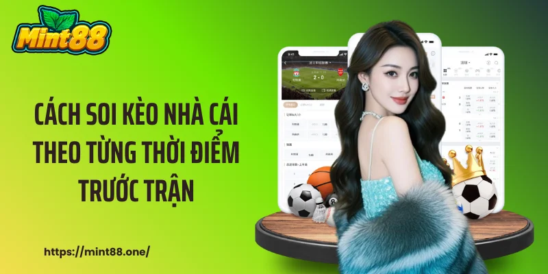 Cách soi kèo nhà cái