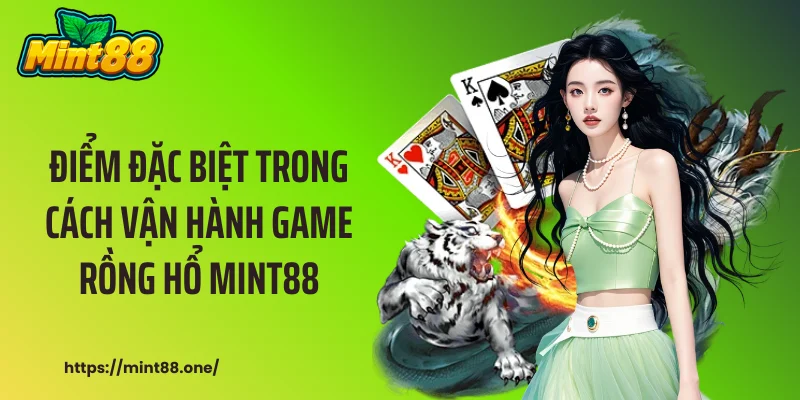 rồng hổ MINT88