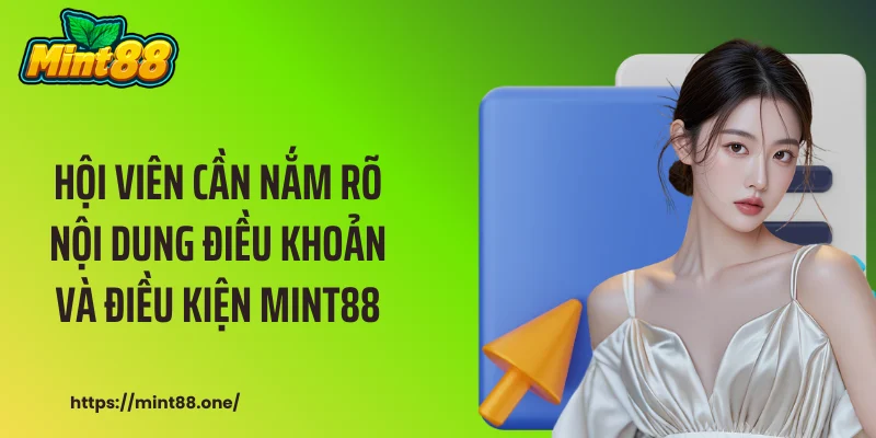 điều khoản và điều kiện