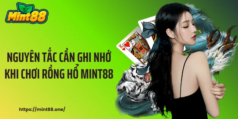 rồng hổ MINT88