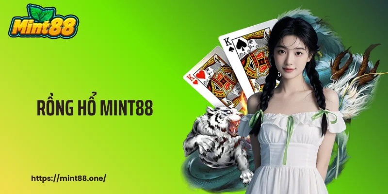 Rồng Hổ MINT88