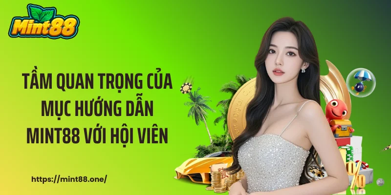 Hướng dẫn MINT88
