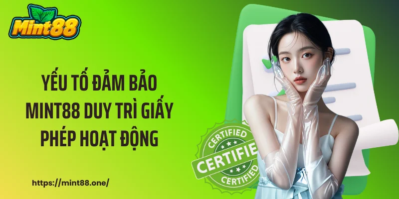Giấy Phép Hoạt Động